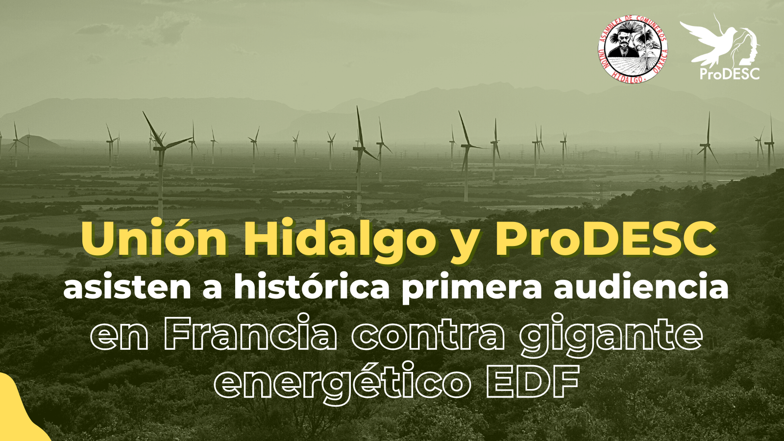 Unión Hidalgo y ProDESC audiencia demanda en Francia contra EDF