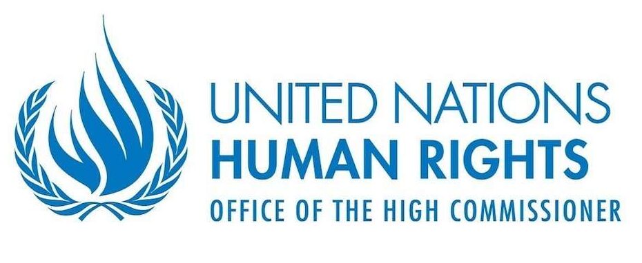 Alto Comisionado para los Derechos Humanos señala a EDF en cartas de alegación en caso Unión Hidalgo