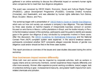 Evaluando la debida diligencia corporativa a través de una perspectiva de género en América Latina