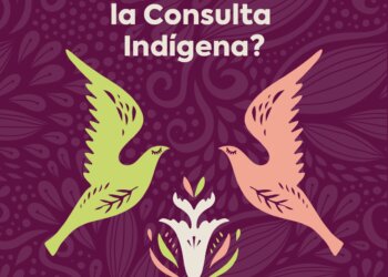 ¿Qué es la Consulta Indígena?