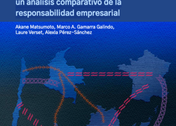 Planes nacionales de acción sobre empresas y derechos humanos: un análisis comparativo de la responsabilidad empresarial