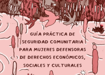 Guía Práctica de Seguridad Comunitaria para Mujeres Defensoras de Derechos Económicos, Sociales y Culturales