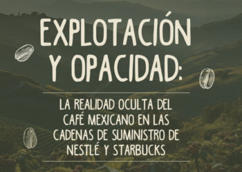 Explotación y opacidad: la realidad oculta del café mexicano en las cadenas de suministro de Nestlé y Starbucks
