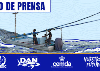 Comunidades y organizaciones urgen al Gobierno Federal a realizar una Evaluación Ambiental Estratégica (EAE) y emitir una moratoria a la infraestructura de gas fósil en el Golfo de California