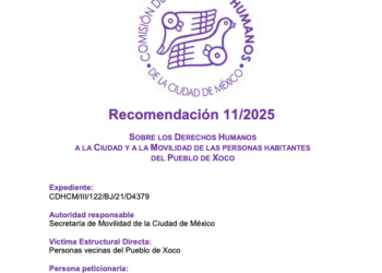 Sobre los derechos humanos a la ciudad y a la movilidad de las personas que habitantes del Pueblo de Xoco