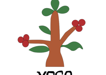 Peritaje social antropolólogico y en derechos humanos del Pueblo Originario de San Sebastián Xoco