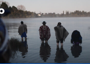 Condenamos la detención arbitraria, el hostigamiento policial y la criminalización transnacional contra personas defensoras del territorio Mapuche Williche
